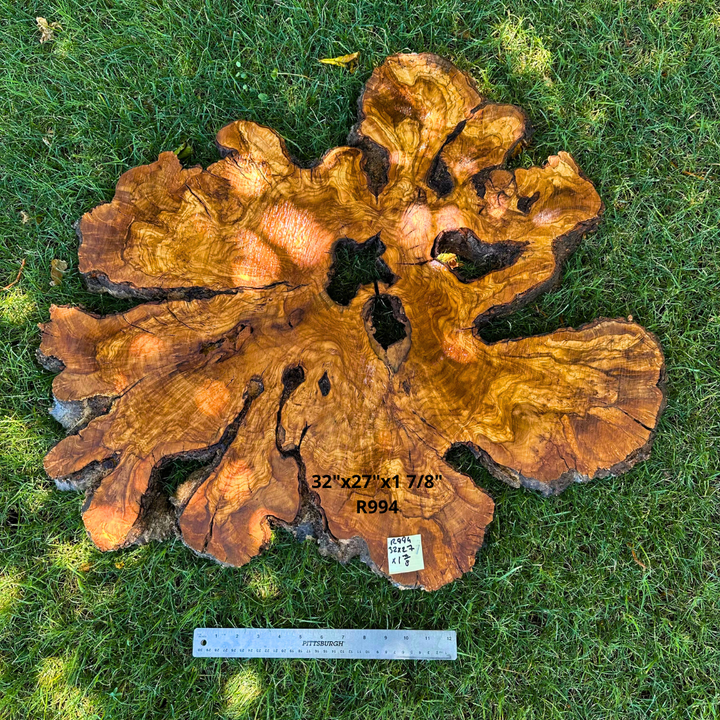 Live Edge Olive Wood Cookie 32"x27"x1.875" - Slab for Resin & River Tables