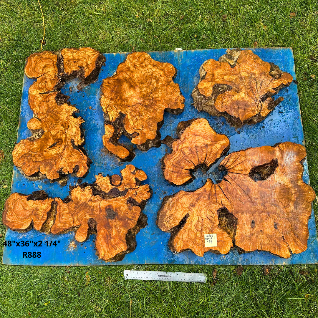 Sets of Live Edge Olive Wood Cookies