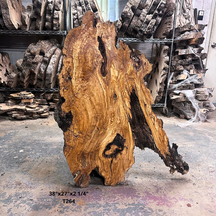 Large Unfinished Olive Wood Slab 38"x27"x2 1/4" T264