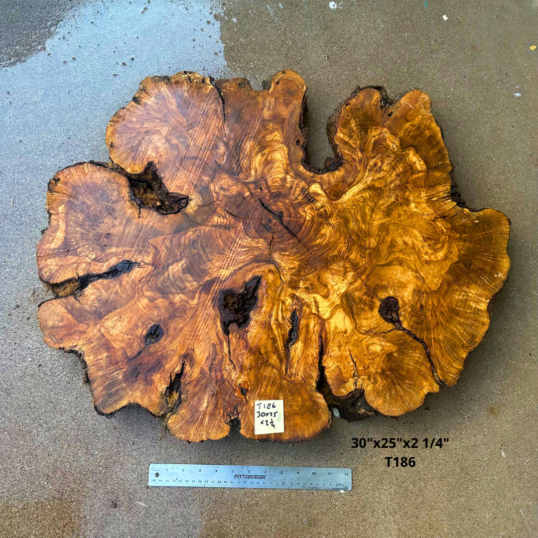 Large Live Edge Olive Cookie 30"x25"x2 1/4" T186