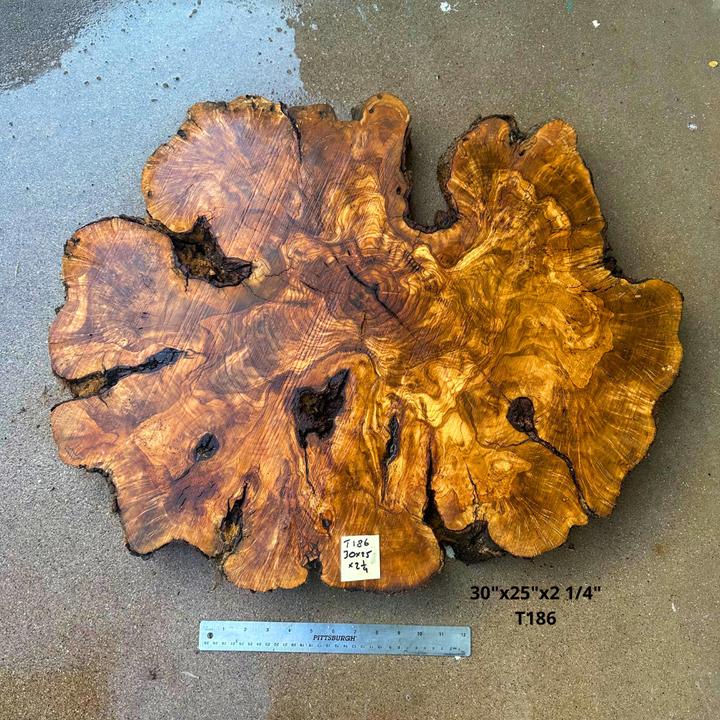 Large Live Edge Olive Cookie 30"x25"x2 1/4" T186