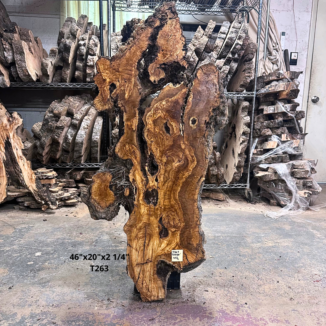 Large Unfinished Olive Wood Slab 46"x20"x2 1/4" T263