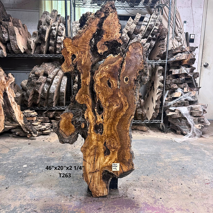 Large Unfinished Olive Wood Slab 46"x20"x2 1/4" T263