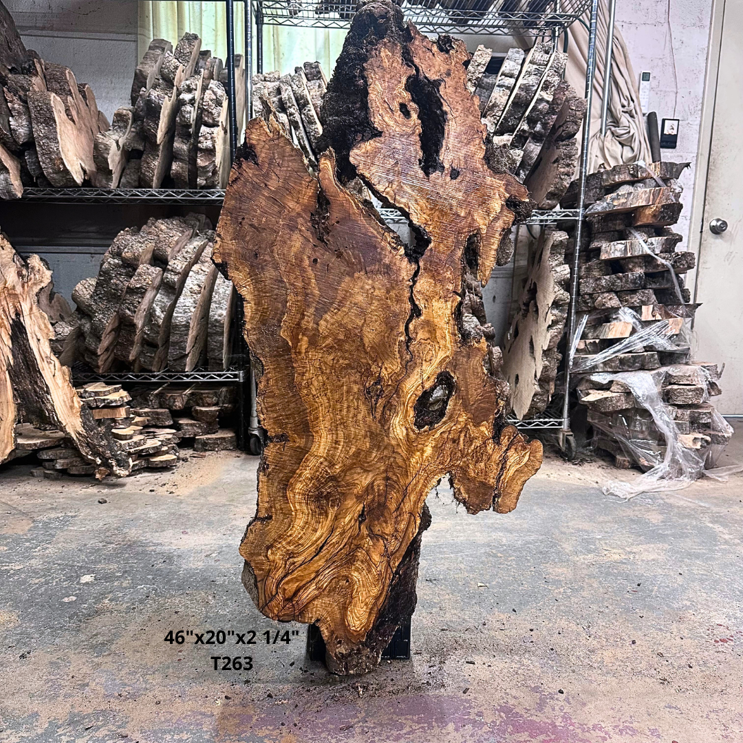 Large Unfinished Olive Wood Slab 46"x20"x2 1/4" T263
