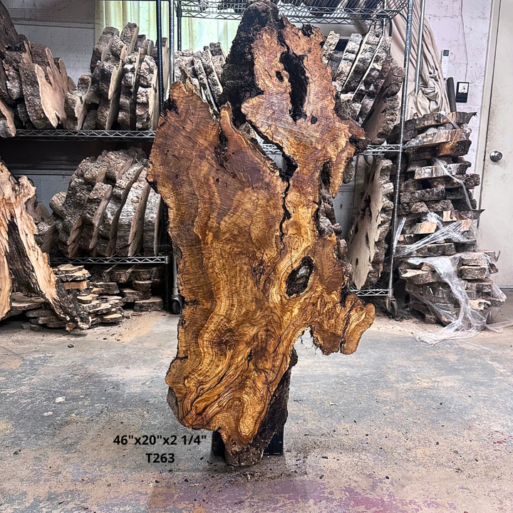 Large Unfinished Olive Wood Slab 46"x20"x2 1/4" T263