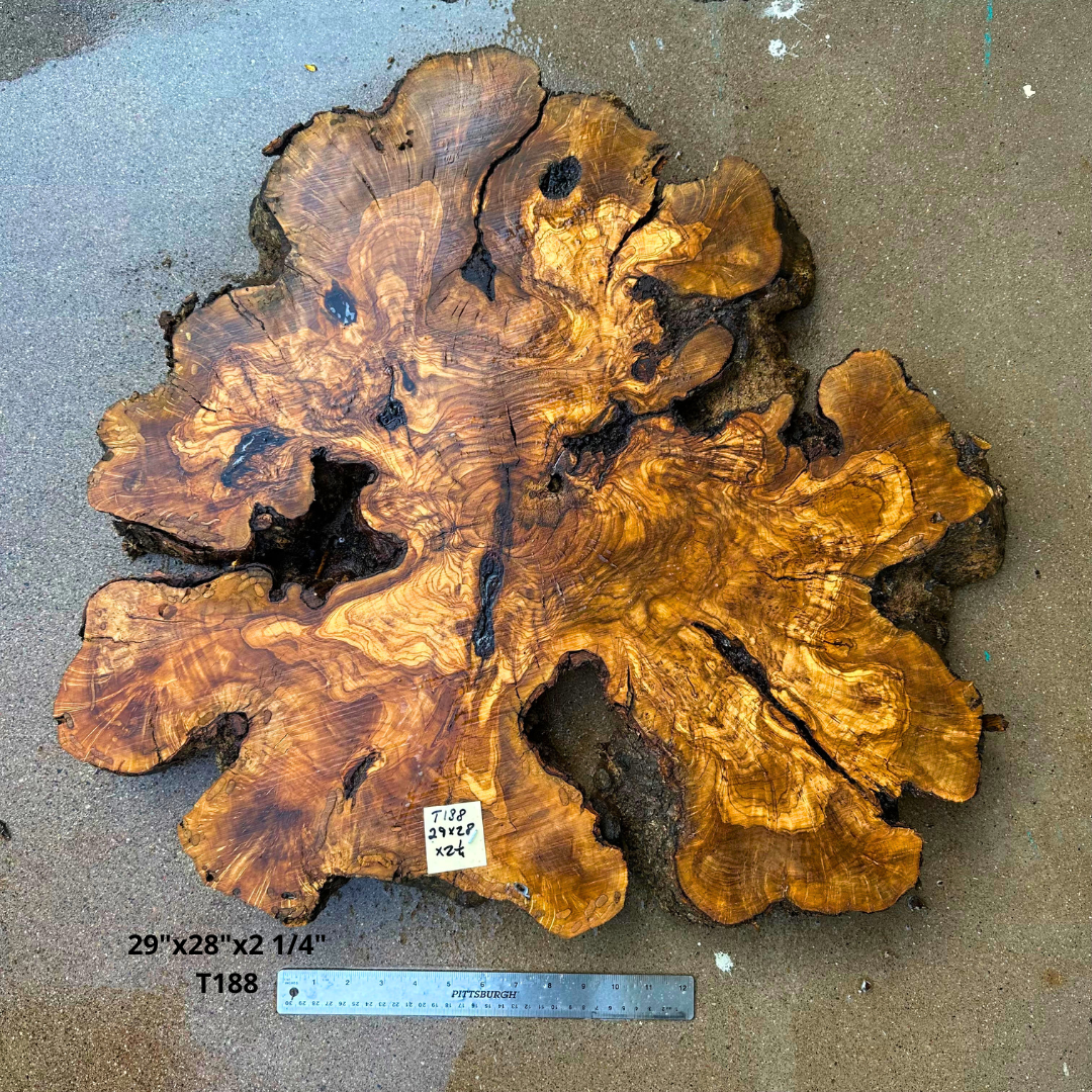 Large Live Edge Olive Cookie 29"x28"x2 1/4" T188