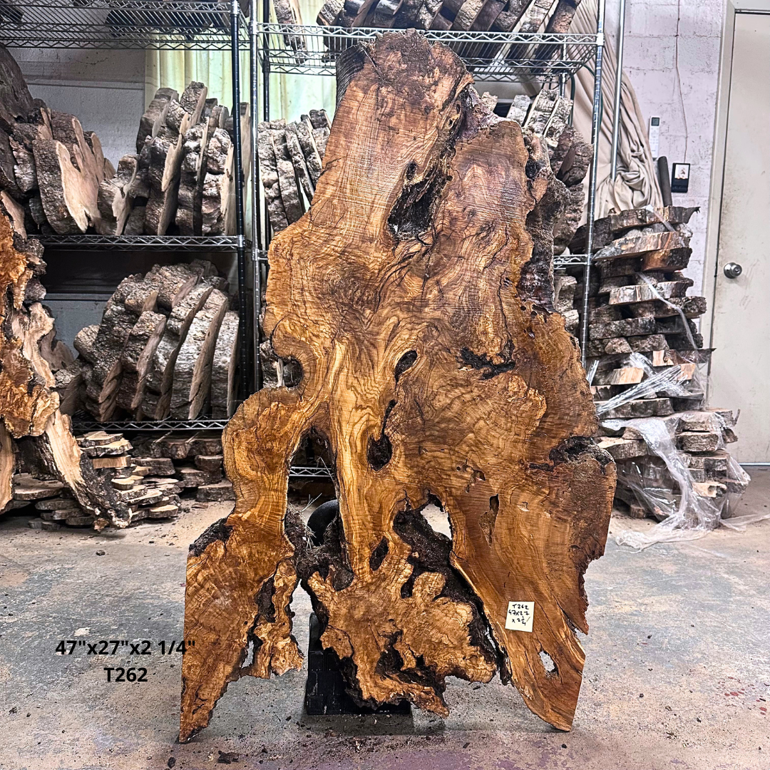 Large Unfinished Olive Wood Slab 47"x27"x2 1/4" T262