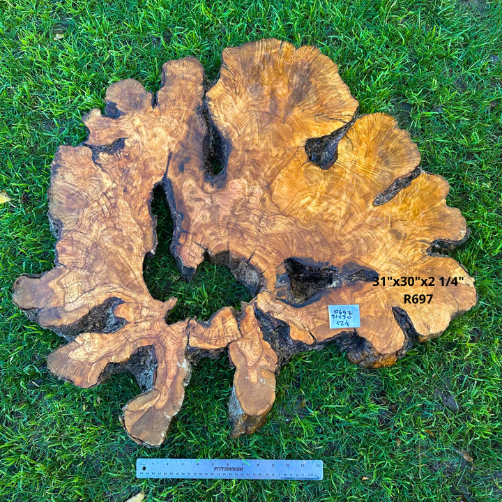 Large Olive Wood Cookie 31"x30"x2 1/4" R697