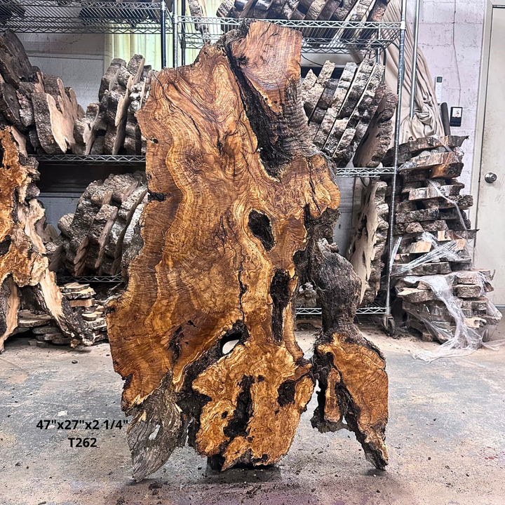 Large Unfinished Olive Wood Slab 47"x27"x2 1/4" T262