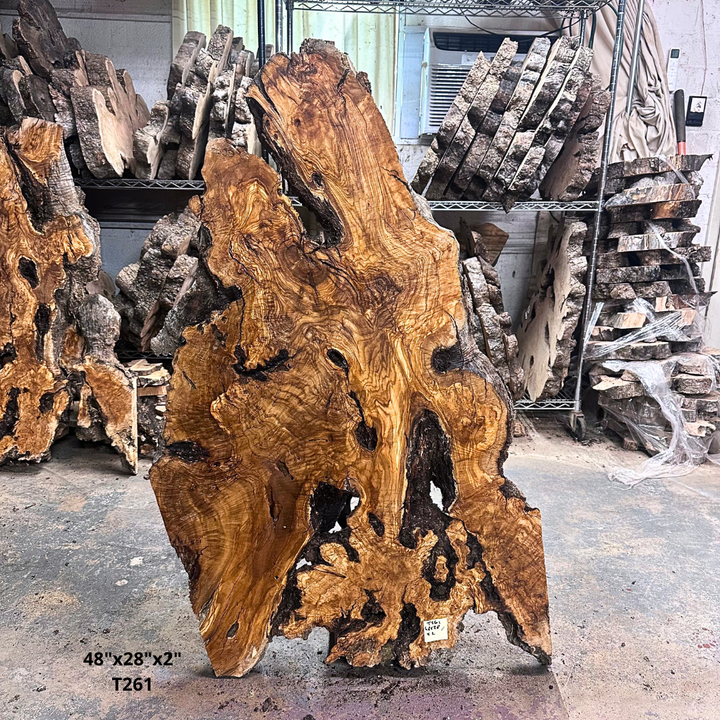 Large Unfinished Olive Wood Slab 48"x28"x2" T261