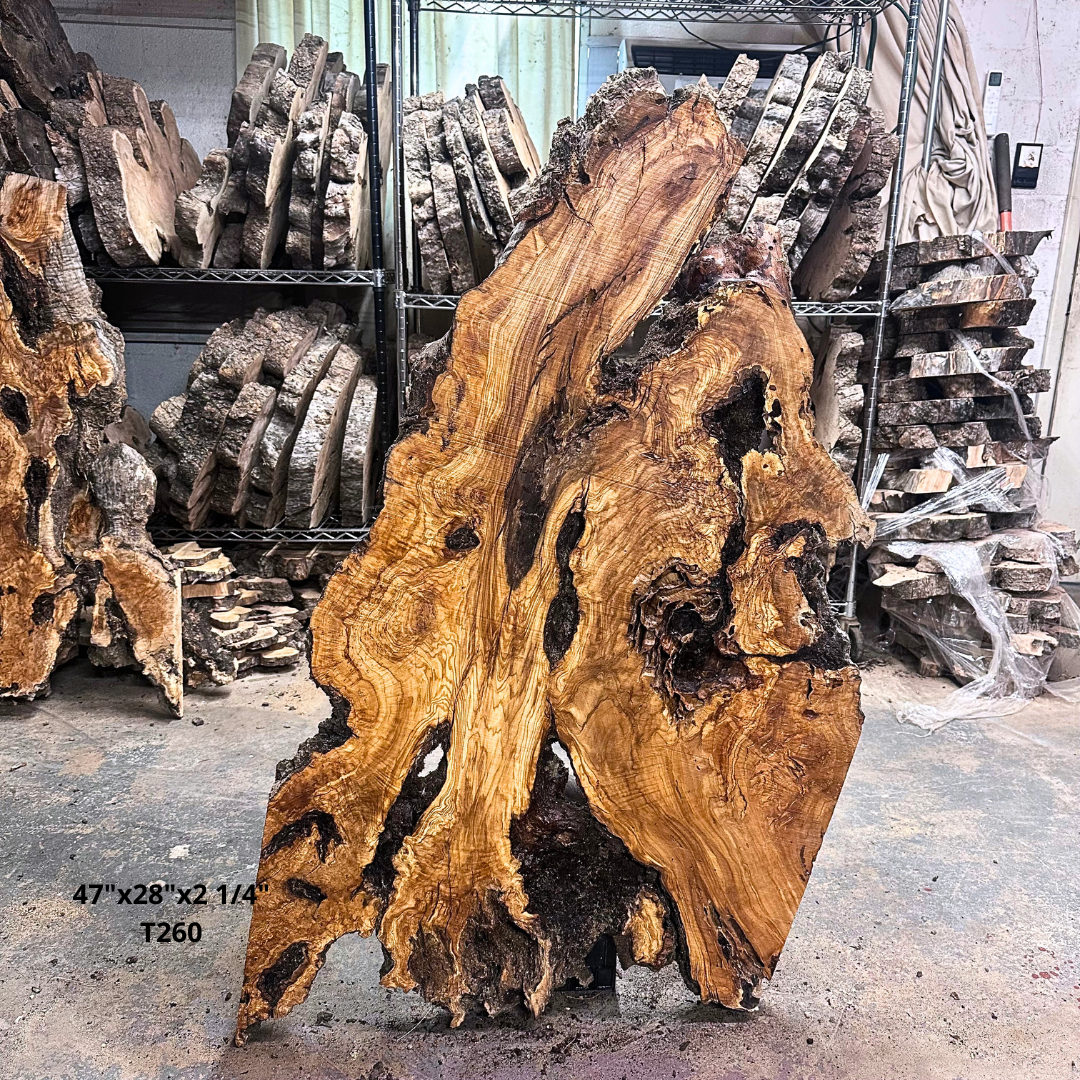 Large Unfinished Olive Wood Slab 48"x28"x2" T261
