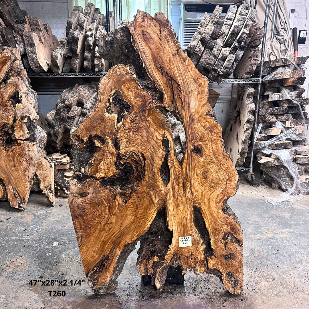 Large Unfinished Olive Wood Slab 47"x28"x2 1/4" T260