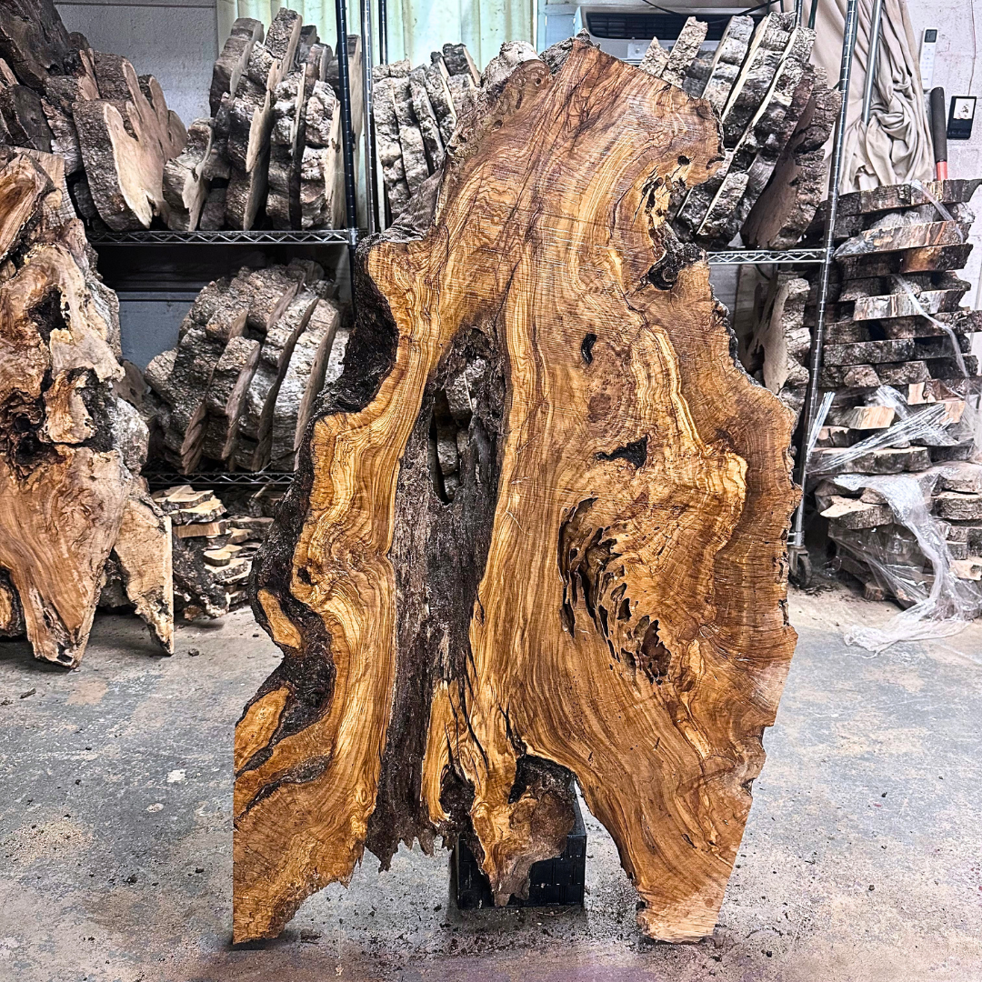 Large Unfinished Olive Wood Slab 47"x28"x2 1/4" T260