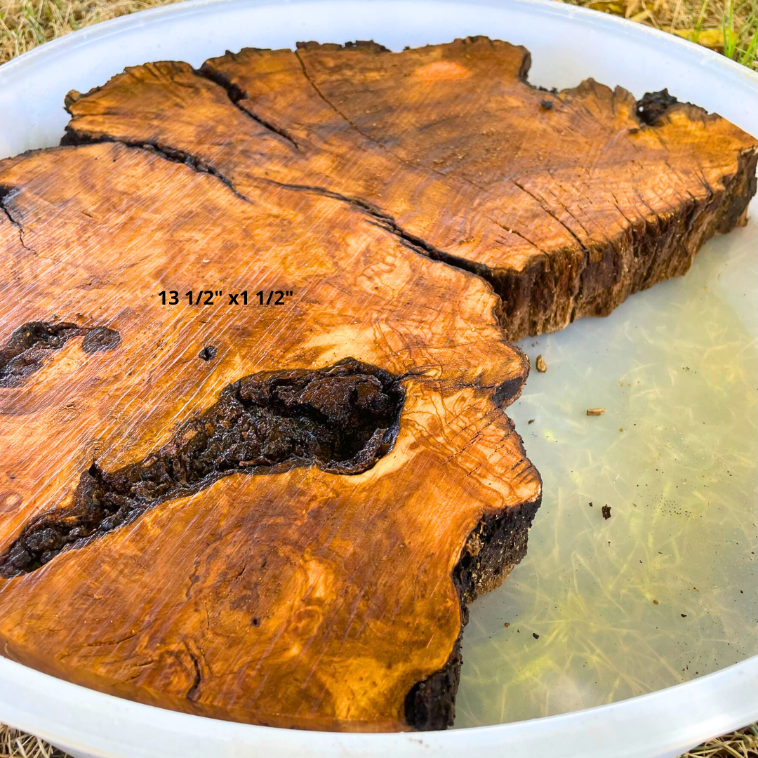 Olive Wood 13 1/2" x 1 1/2" Resin Kits Including Re-usable Silicon Mold