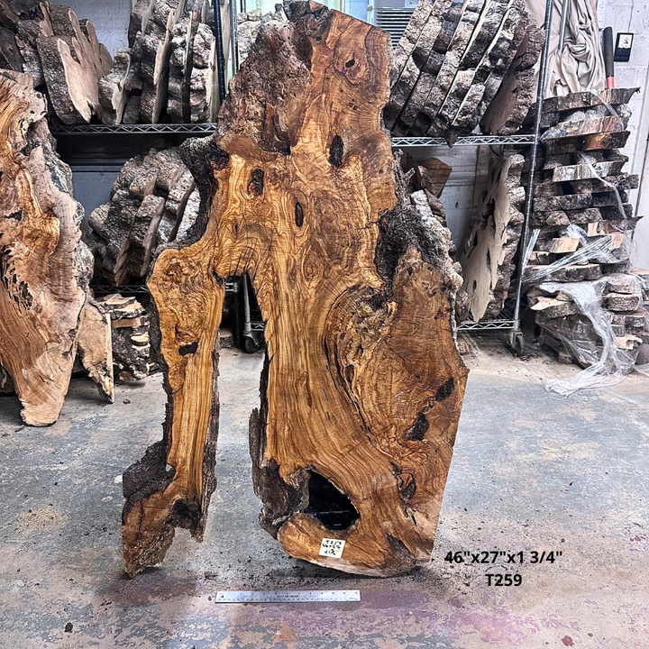Large Unfinished Olive Wood Slab 46X27X1 3 4 | Desert Hardwoods