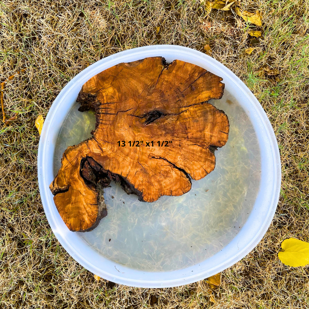 Olive Wood 13 1/2" x 1 1/2" Resin Kits Including Re-usable Silicon Mold