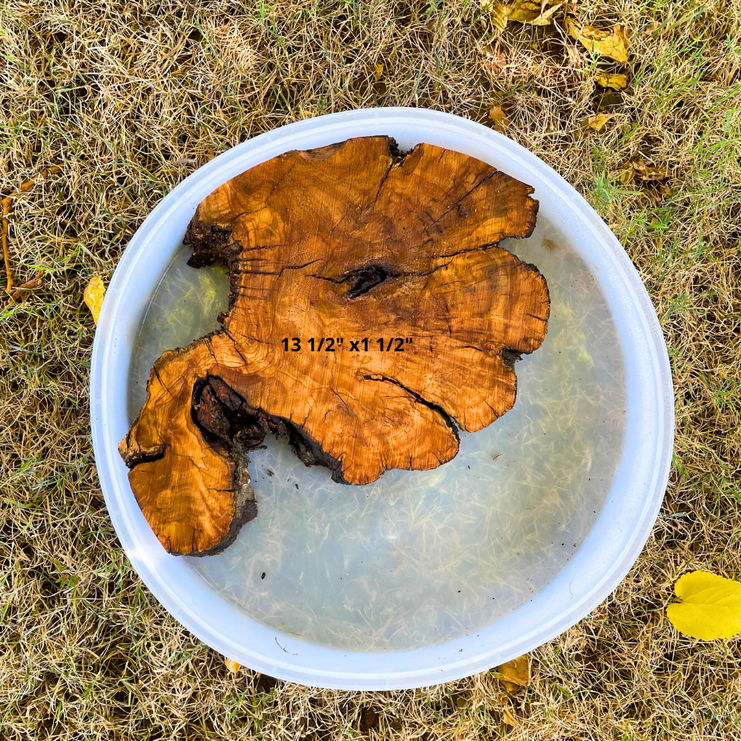 Olive Wood 13 1/2" x 1 1/2" Resin Kits Including Re-usable Silicon Mold