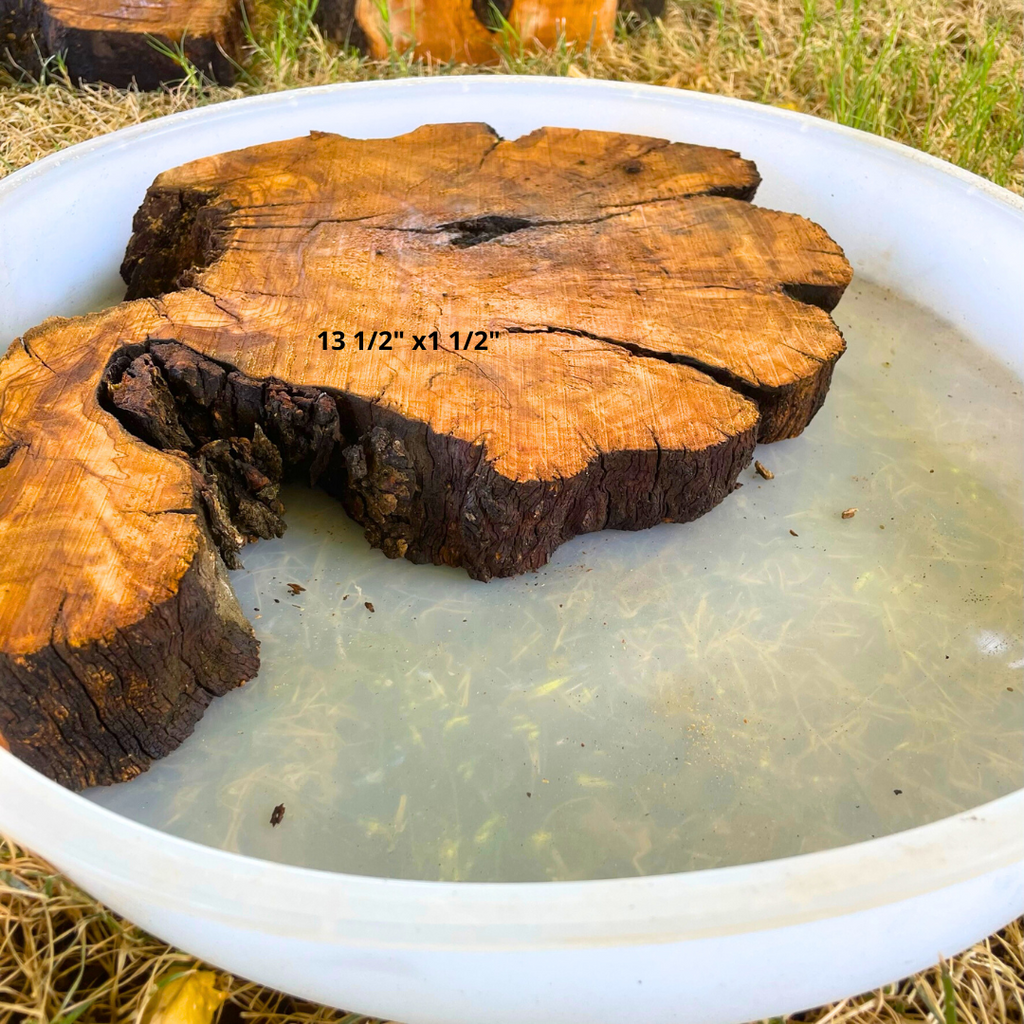 Olive Wood 13 1/2" x 1 1/2" Resin Kits Including Re-usable Silicon Mold