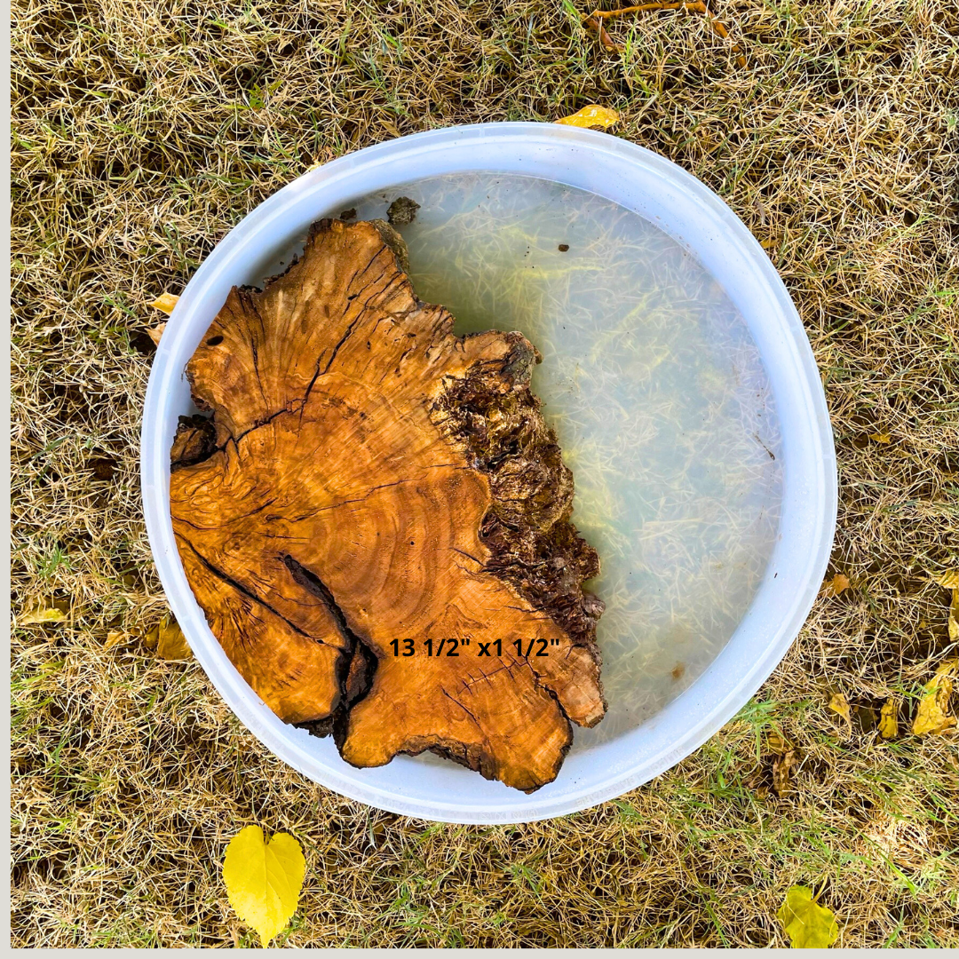 Olive Wood 13 1/2" x 1 1/2" Resin Kits Including Re-usable Silicon Mold