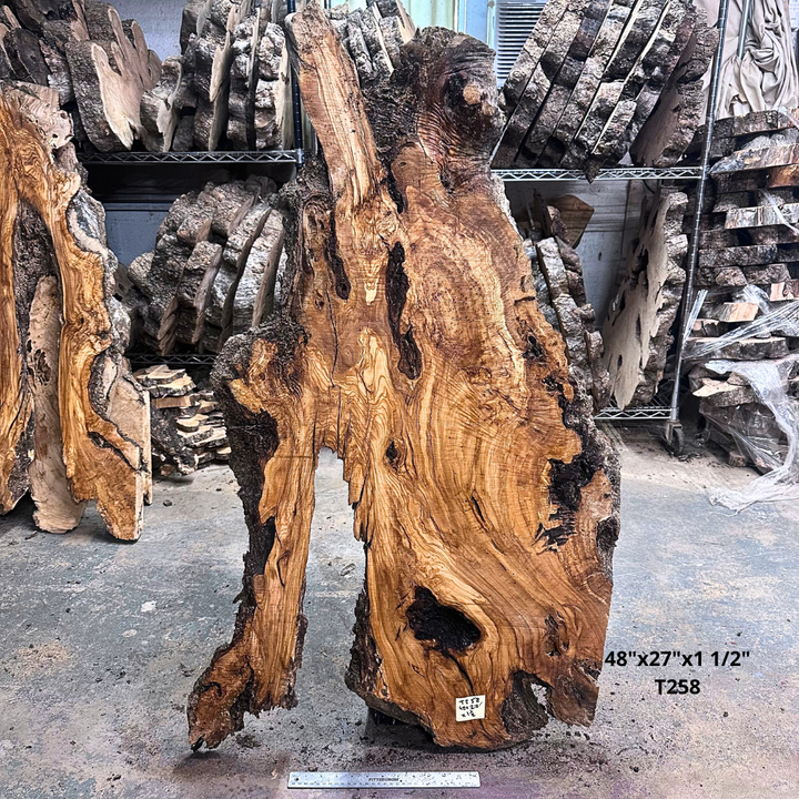 Large Unfinished Olive Wood Slab 48"x27"x1 1/2" T258