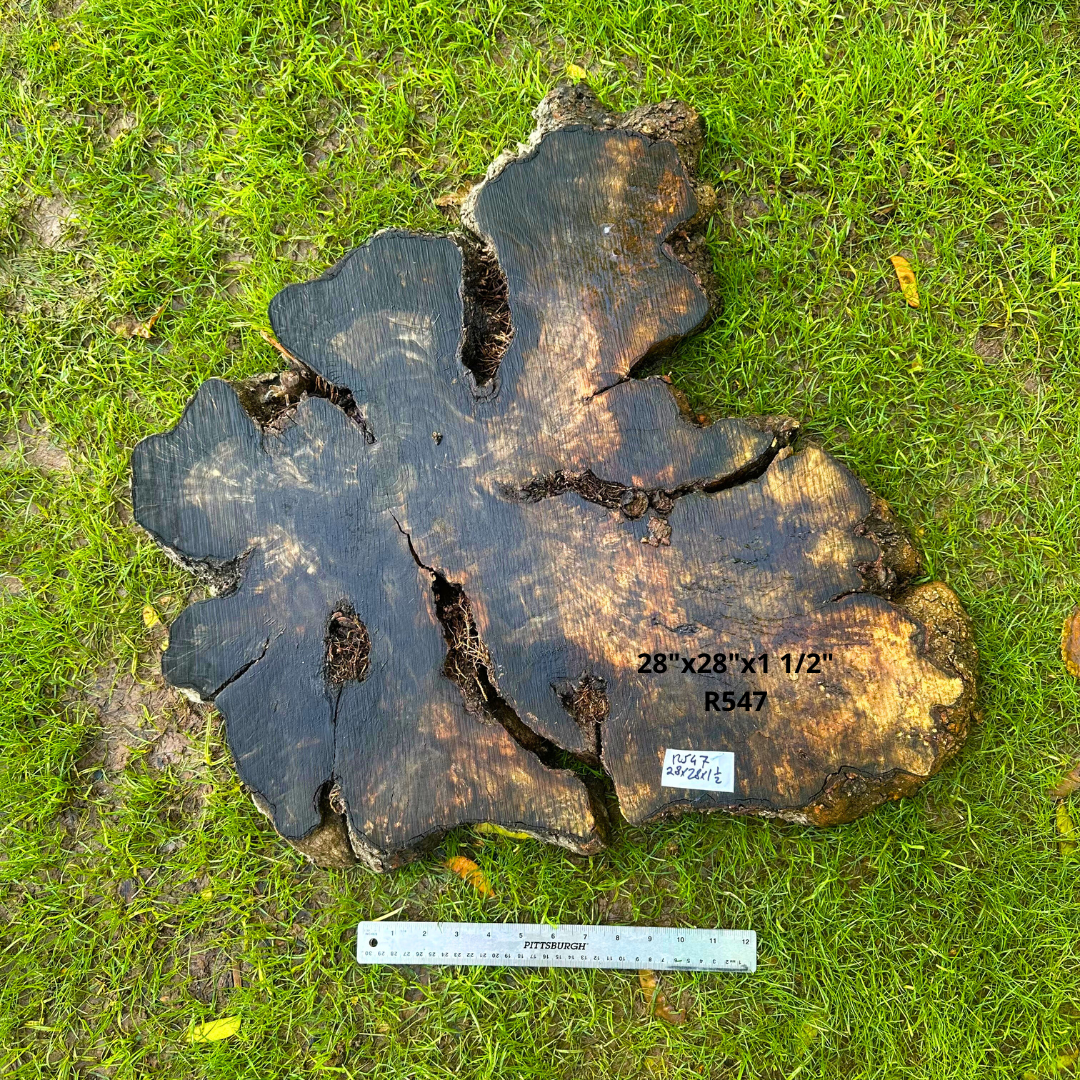 Olive Slice 28"x28"x1 1/2" R547