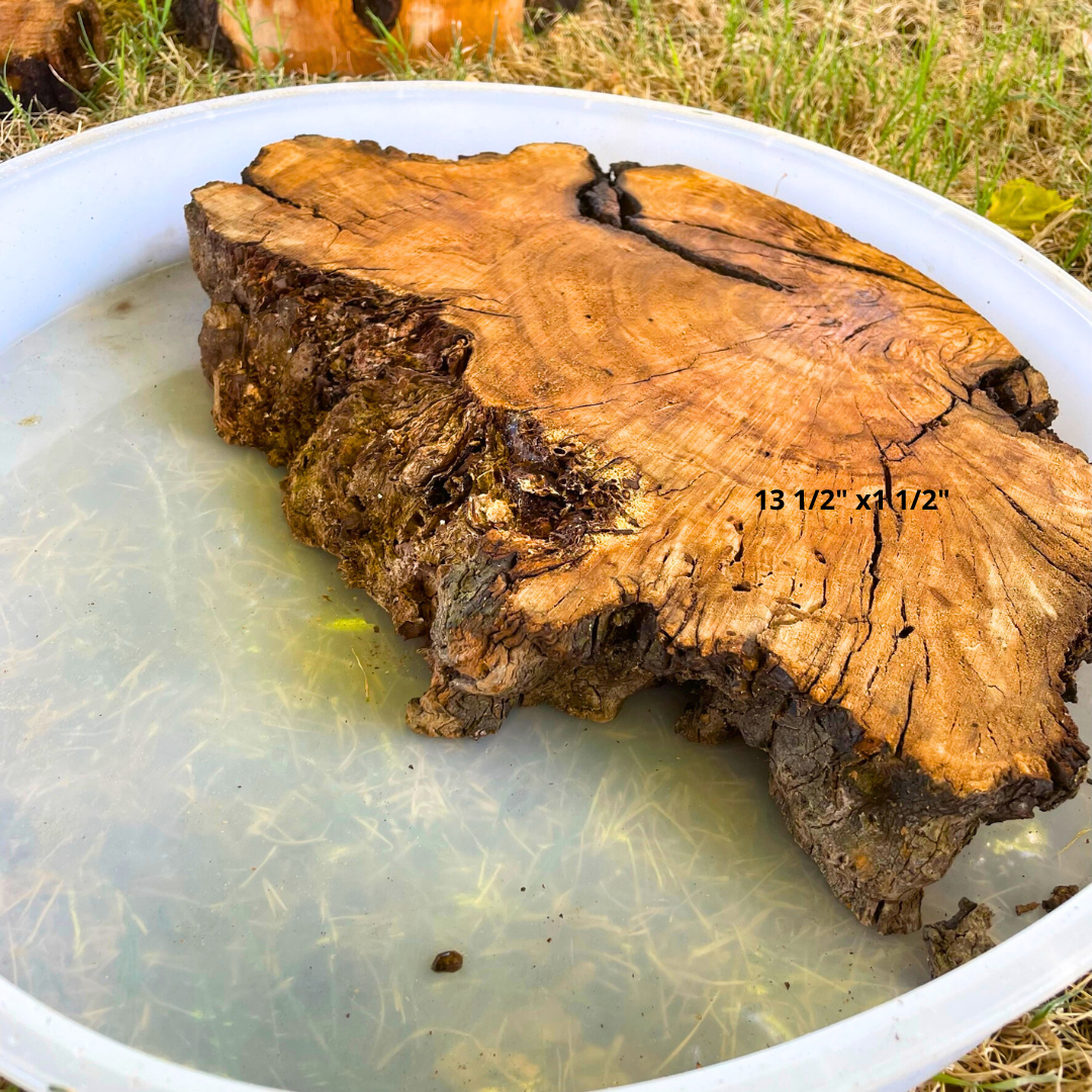 Olive Wood 13 1/2" x 1 1/2" Resin Kits Including Re-usable Silicon Mold