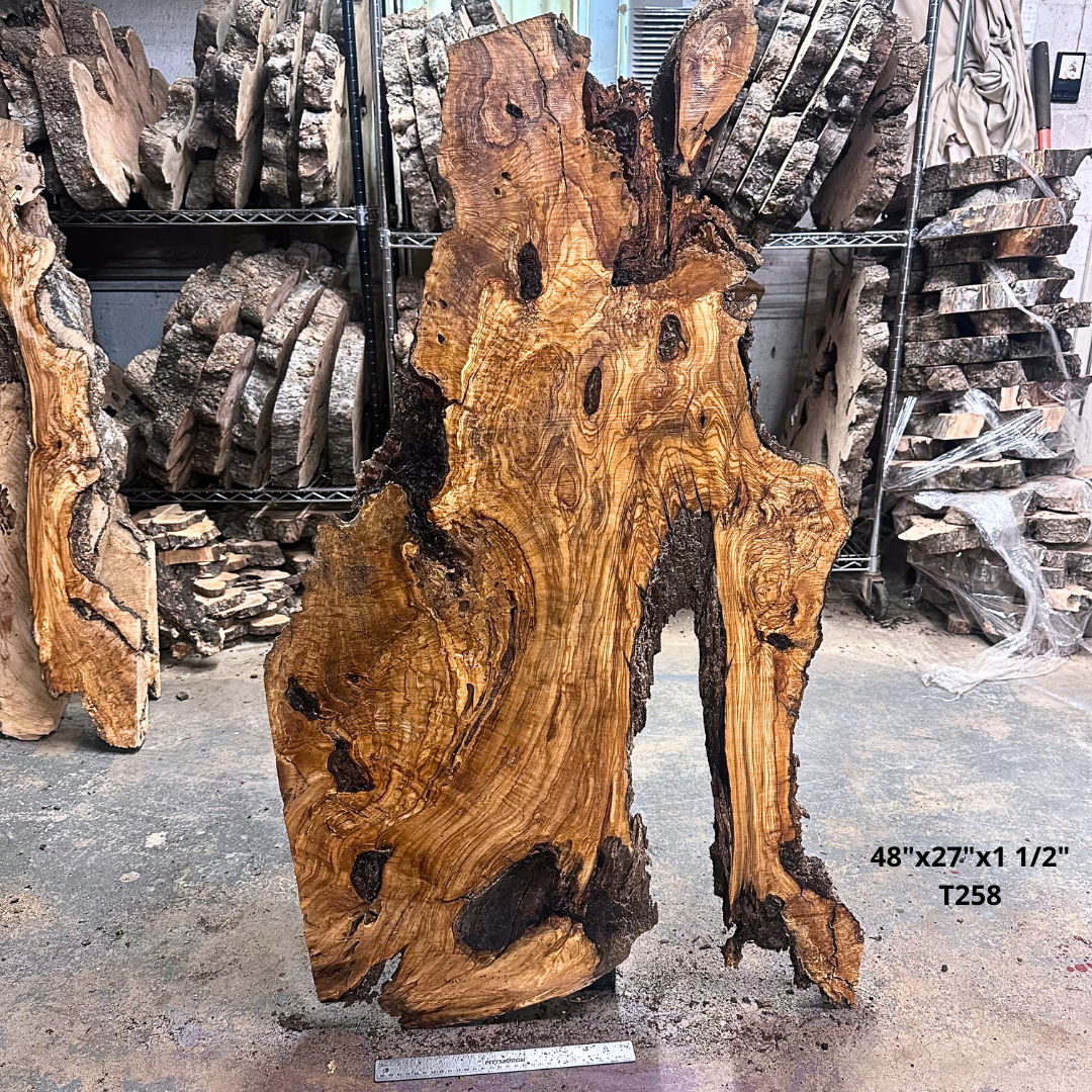 Large Unfinished Olive Wood Slab 48"x27"x1 1/2" T258
