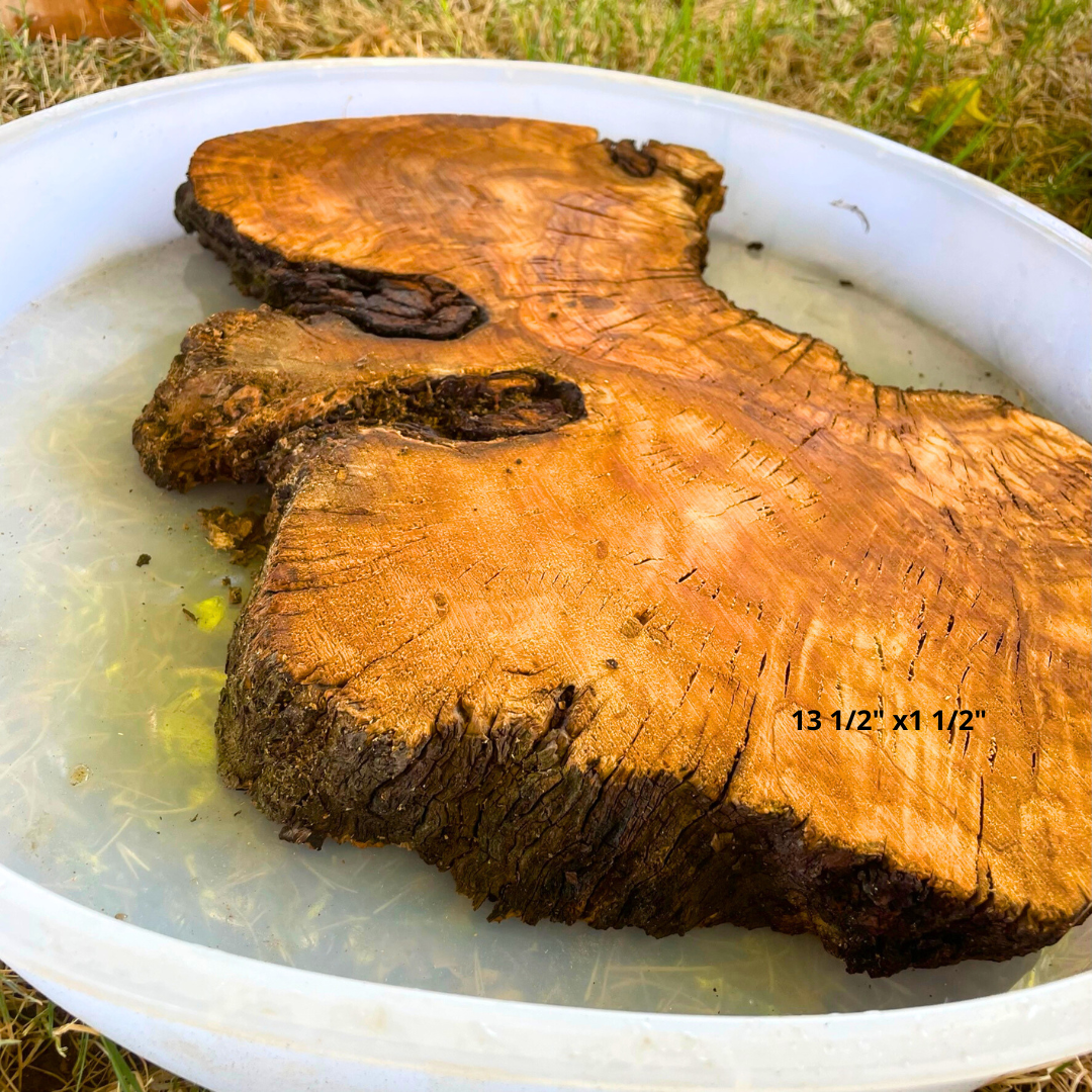 Olive Wood 13 1/2" x 1 1/2" Resin Kits Including Re-usable Silicon Mold