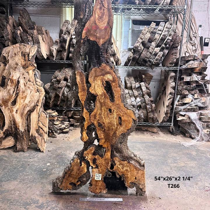 Large Unfinished Olive Wood Slab 54"x26"x2 1/4" T266