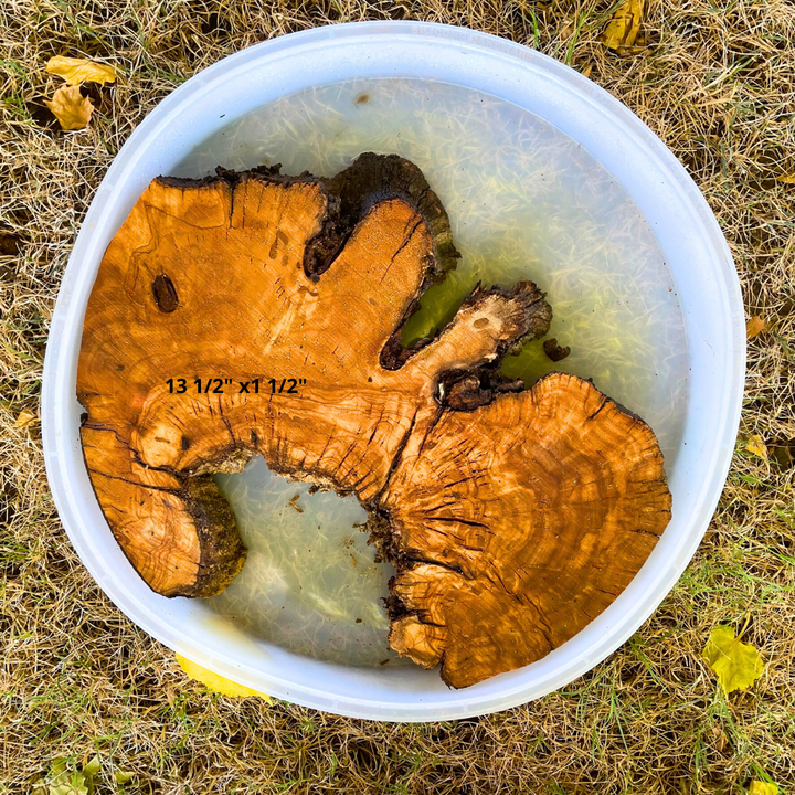 Olive Wood 13 1/2" x 1 1/2" Resin Kits Including Re-usable Silicon Mold