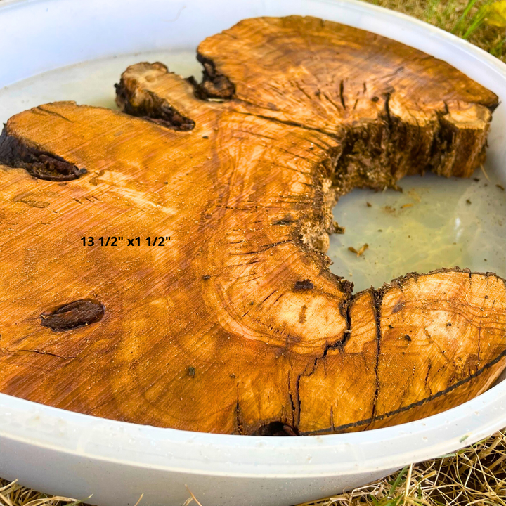 Olive Wood 13 1/2" x 1 1/2" Resin Kits Including Re-usable Silicon Mold