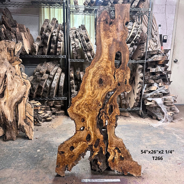 Large Unfinished Olive Wood Slab 54"x26"x2 1/4" T266