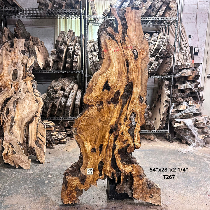 Large Unfinished Olive Wood Slab 54X28X2 1 4 | Desert Hardwoods