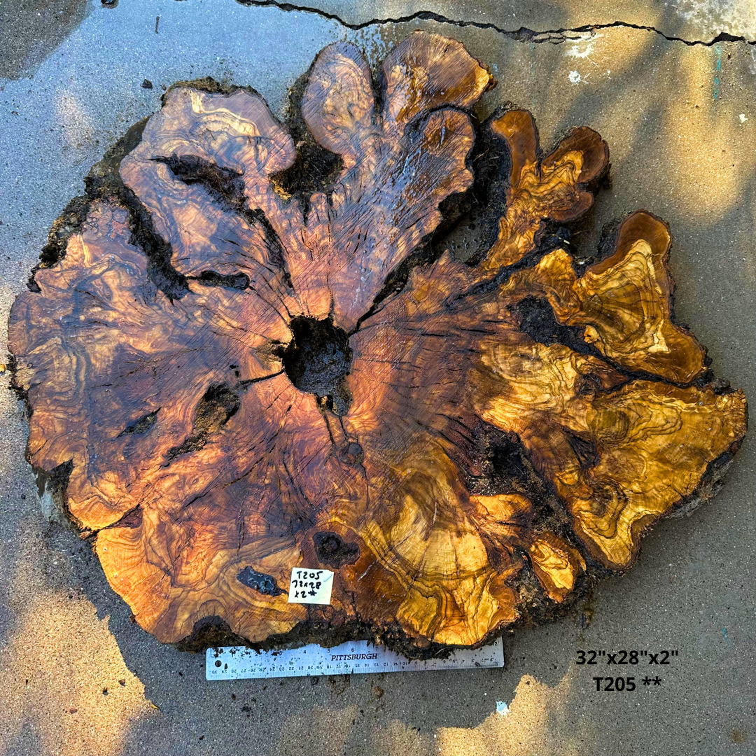 Olive Wood Cookie 32"x28"x2" T205