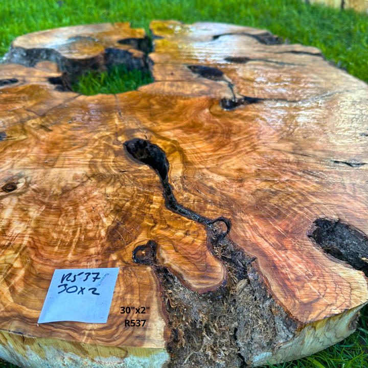 Circular Olive Wood Table Top 30"x2" R537
