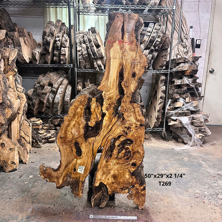 Large Unfinished Olive Wood Slab 50"x29"x2 1/4" T269