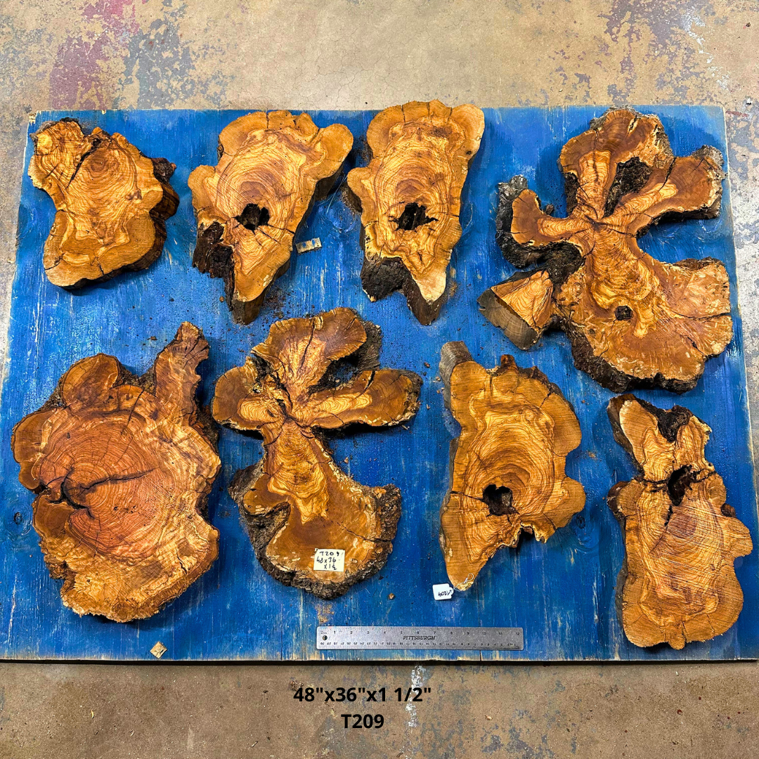 Set of Olive Wood Cookies  48"x36"x1 1/2" T209