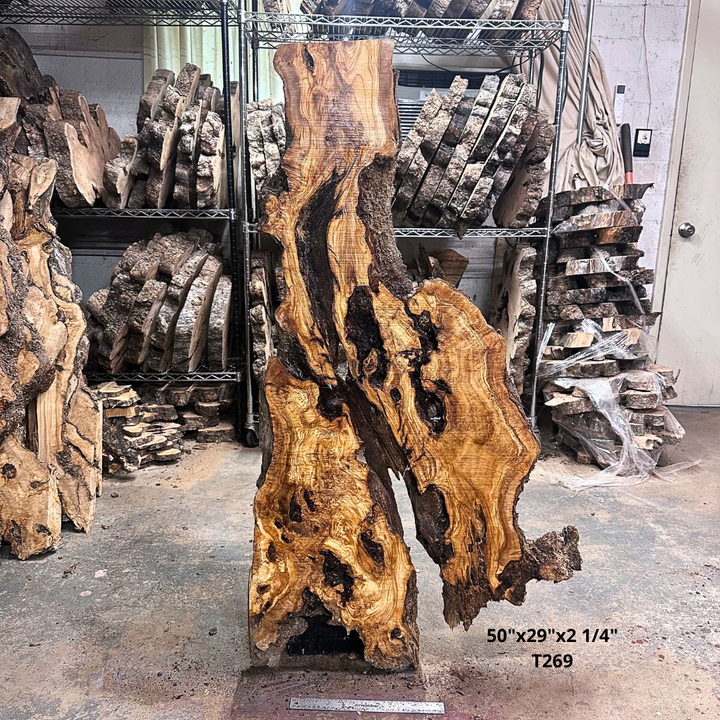 Large Unfinished Olive Wood Slab 50"x29"x2 1/4" T269