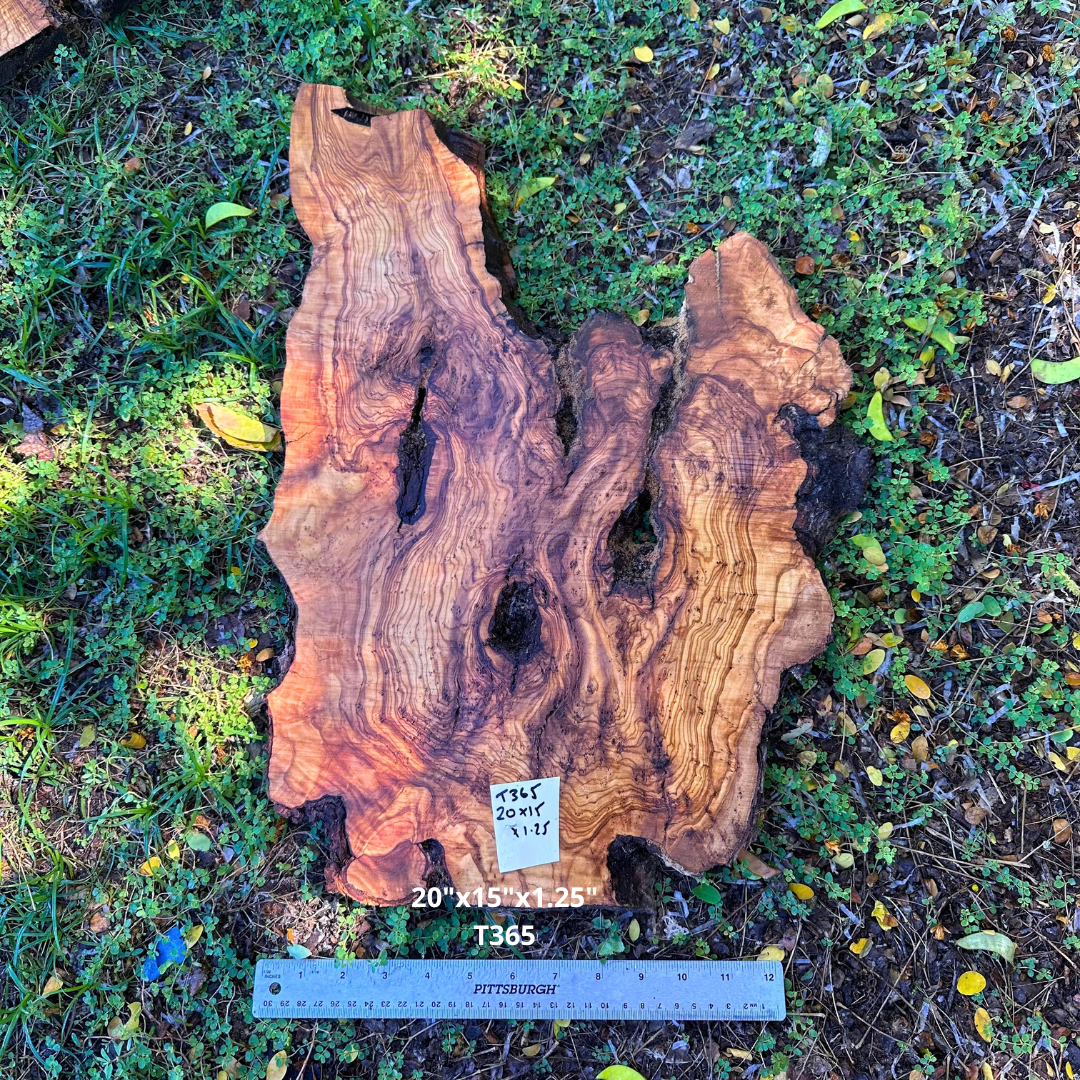 20"x15"x1.25" T365
