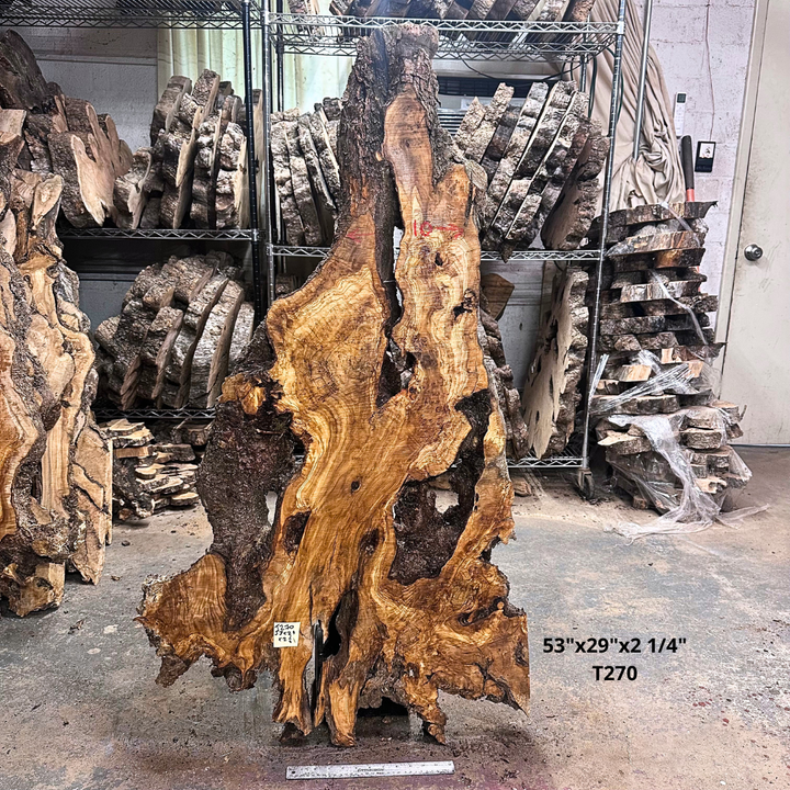 Large Unfinished Olive Wood Slab 53"x29"x2 1/4" T270