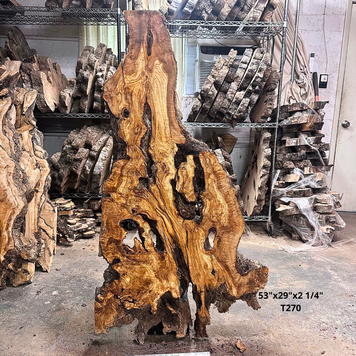 Large Unfinished Olive Wood Slab 53"x29"x2 1/4" T270