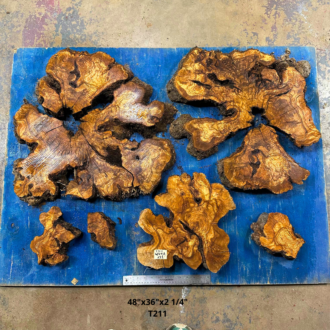 Set of Olive Wood Cookies  48"x36"x2 1/4" T211
