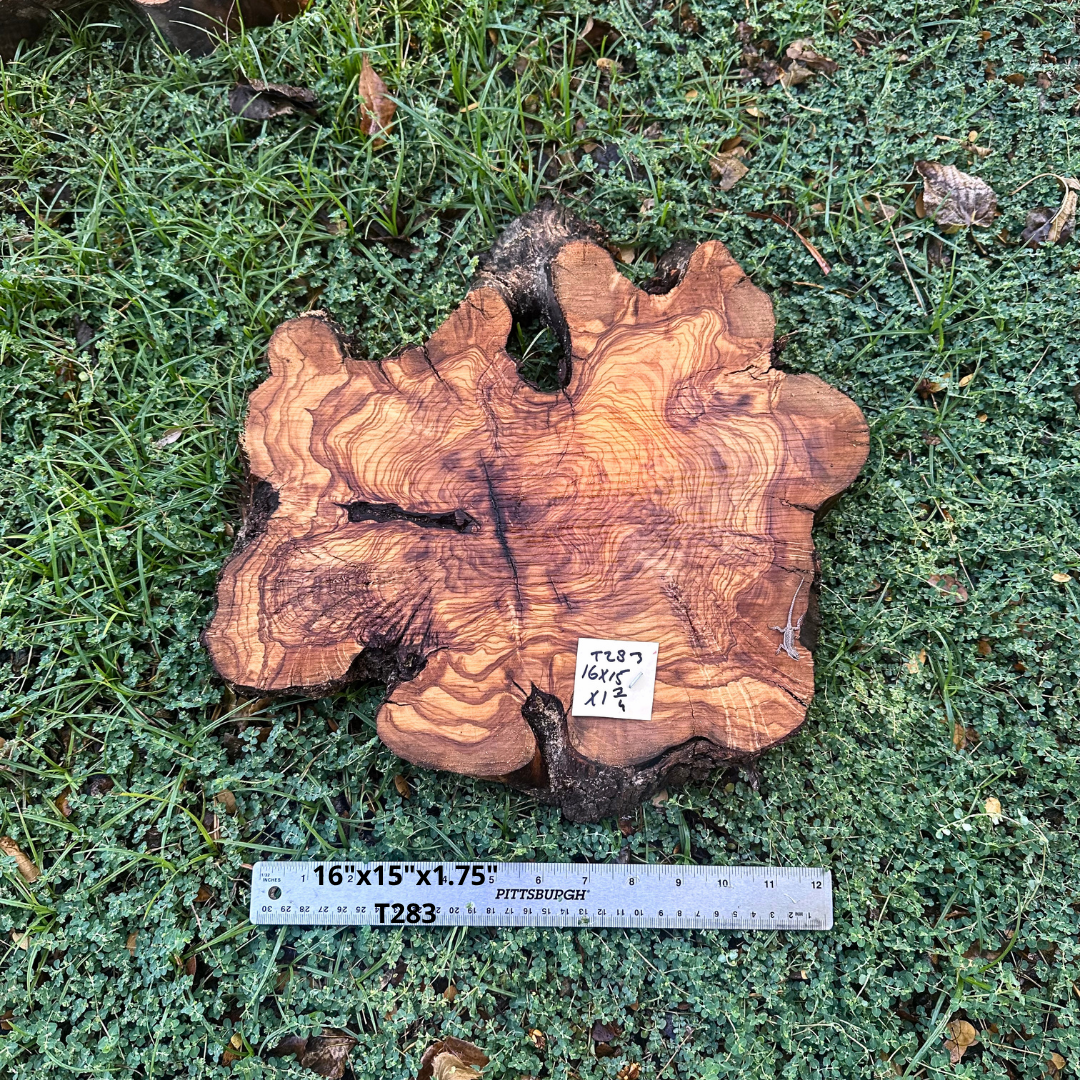 Live Edge Olive Cookie 16"x15"x1.75" T283