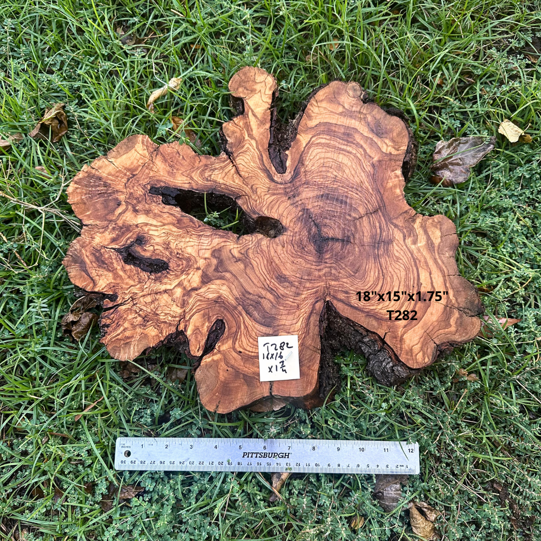 Live Edge Olive Cookie 18"x15"x1.75" T282