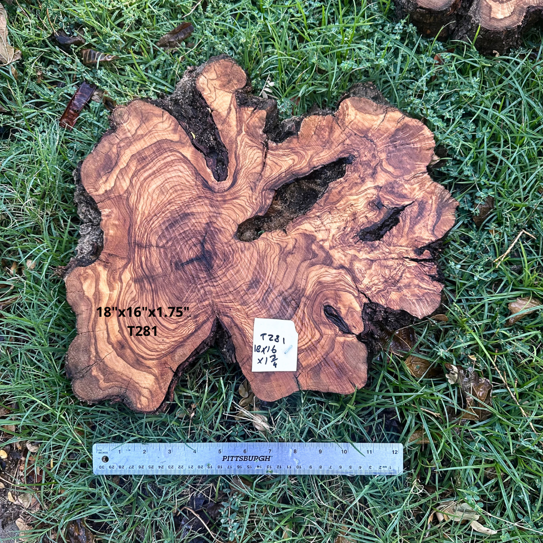 Live Edge Olive Cookie 18"x16"x1.75" T281