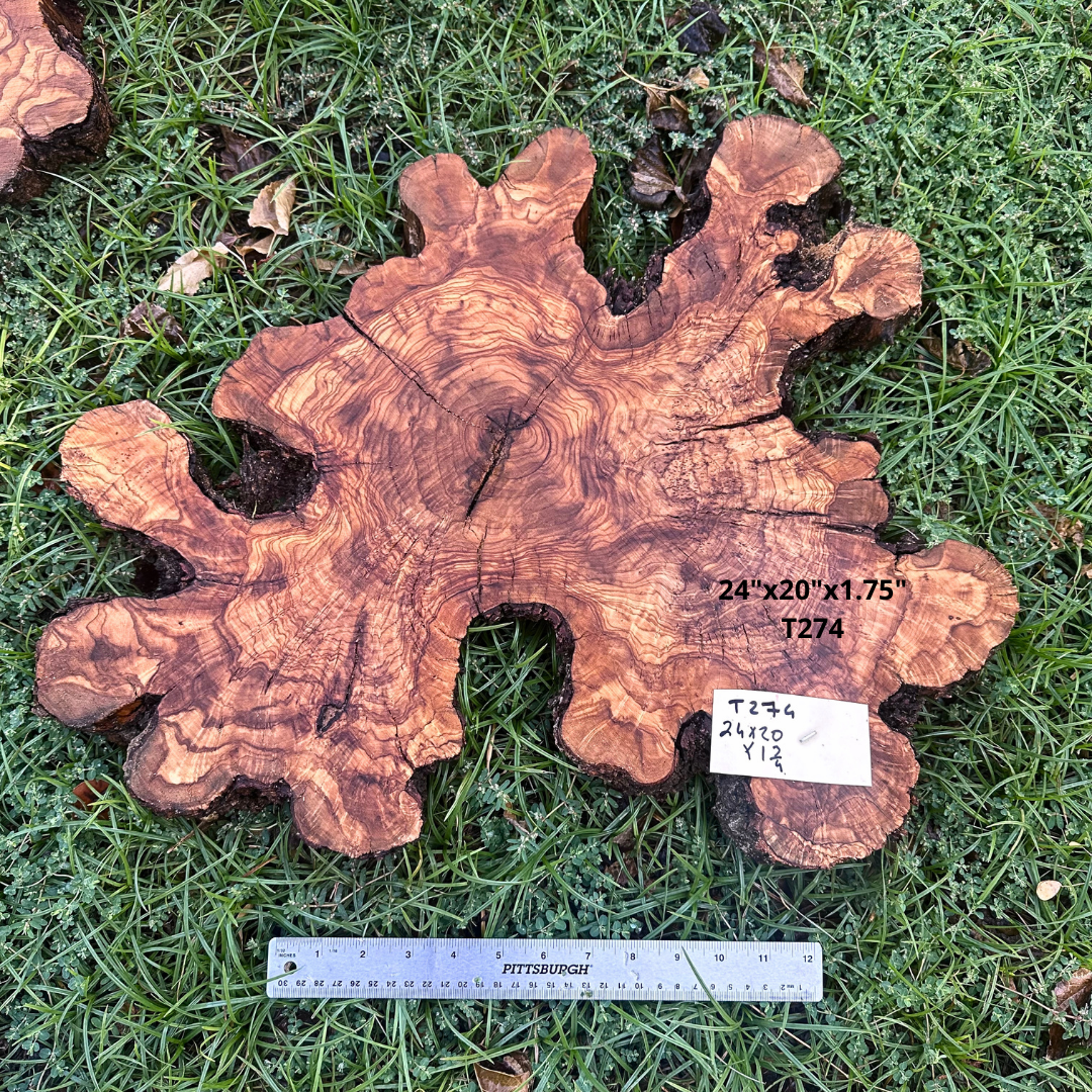 Live Edge Olive Cookie 24"x20"x1.75" T274