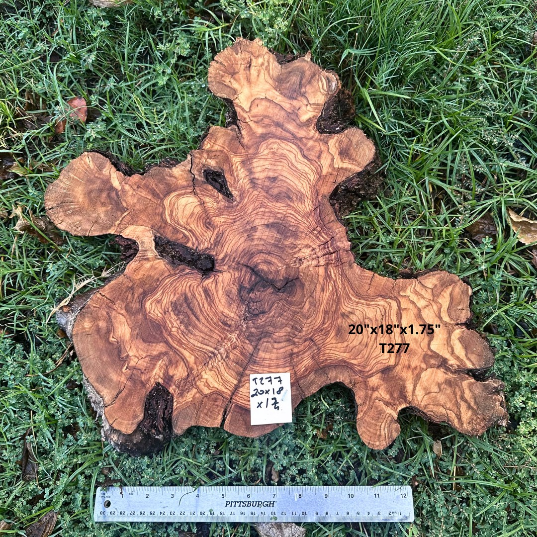 Live Edge Olive Cookie 20"x18"x1.75" T277