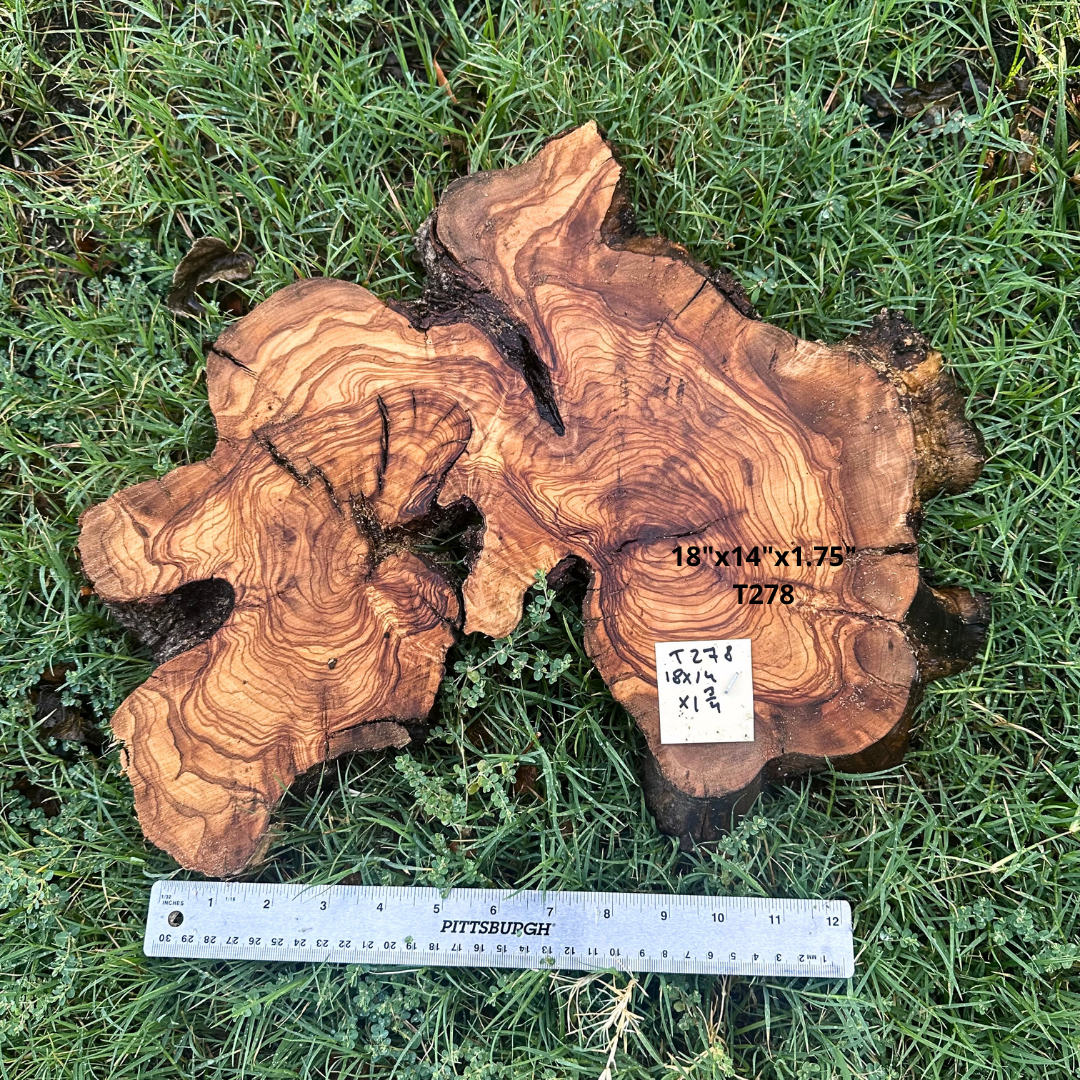 Live Edge Olive Cookie 18"x14"x1.75" T278