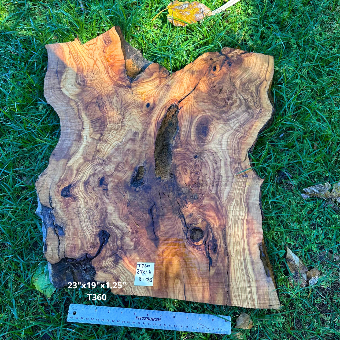 23"x19"x1.25" T360