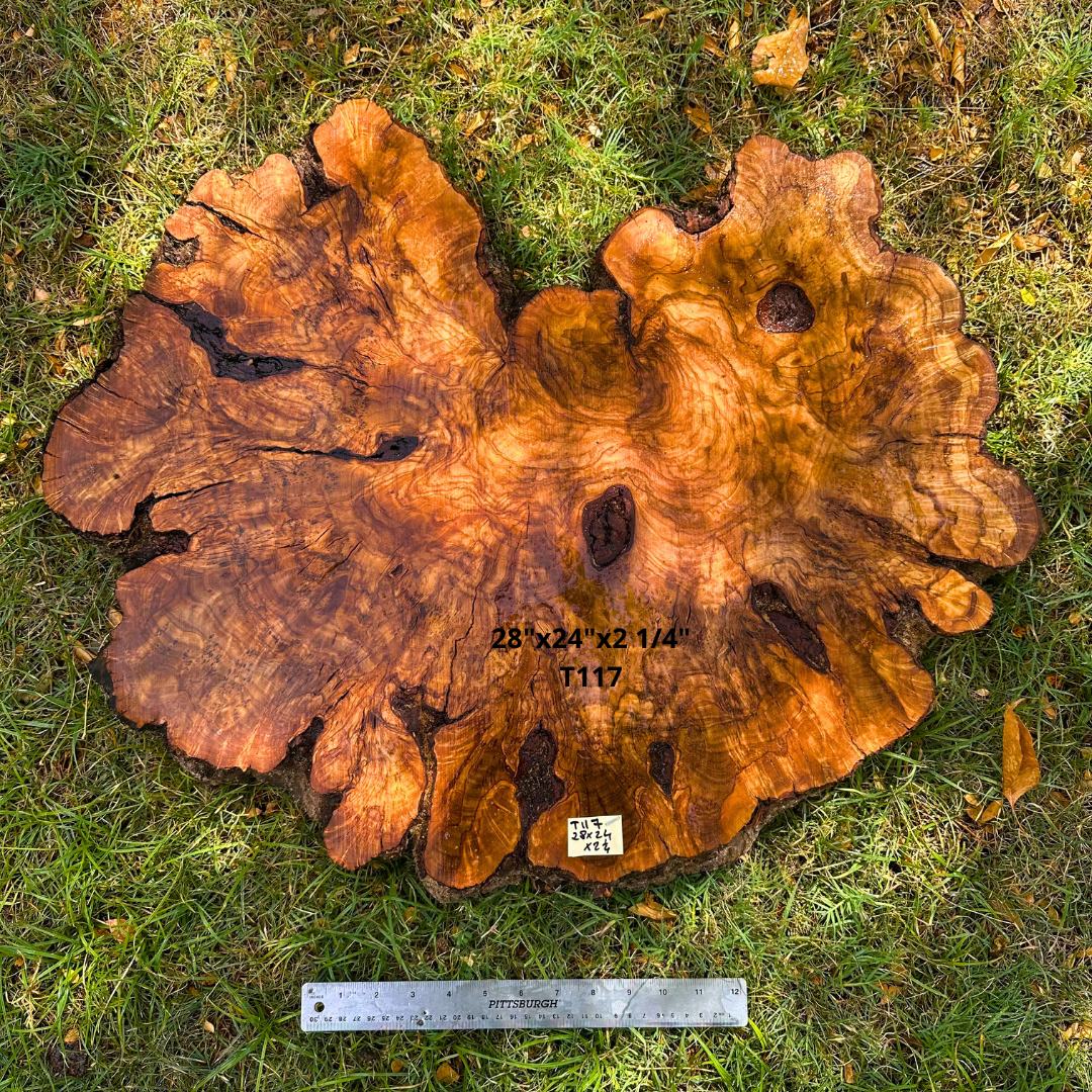 Live Edge Olive Cookie 28"x24"x2 1/4" T117